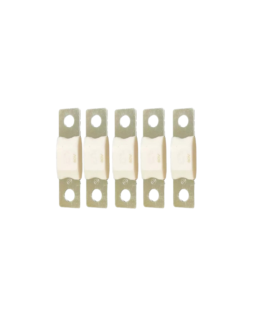 Fusible MEGA 60A/80V (pack de 5)