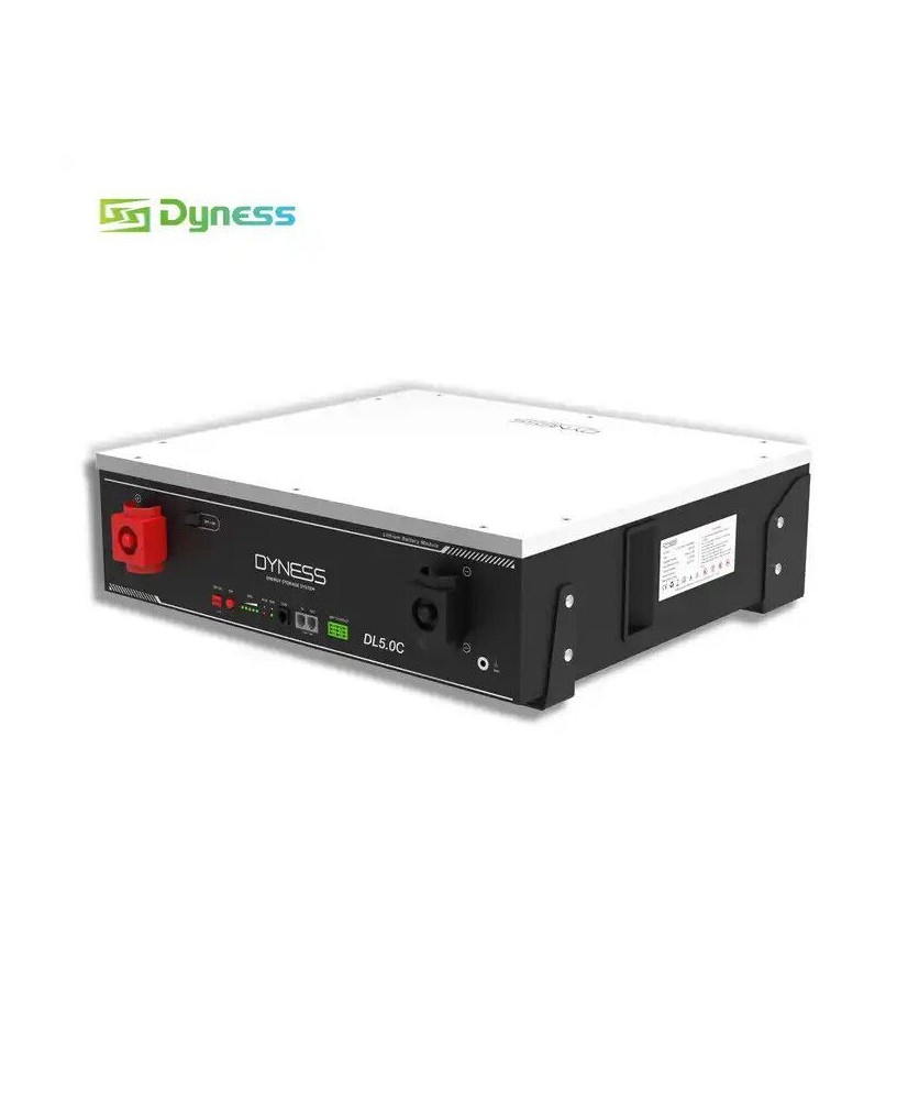 Batterie LiFePO4 chauffée Dyness DL5.0C – 5,12 kWh, 48 V