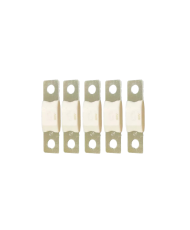 MEGA-fuse 100A/80V (pack of 5)