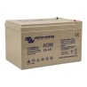 Batterie AGM Deep Cycle 12V/14Ah Victron Energy