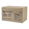 Batterie AGM Deep Cycle 12V/14Ah Victron Energy