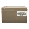 12V/14Ah AGM Deep Cycle Battery Victron Energy