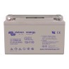 12V/110Ah Gel Deep Cycle Battery Victron Energy