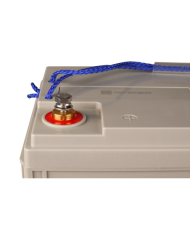 Batterie AGM Super Cycle 12V/170Ah (M8) Victron Energy