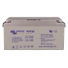 Batterie AGM Deep Cycle 12V/165Ah Victron Energy